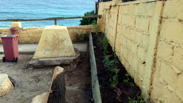 mirador27.jpg