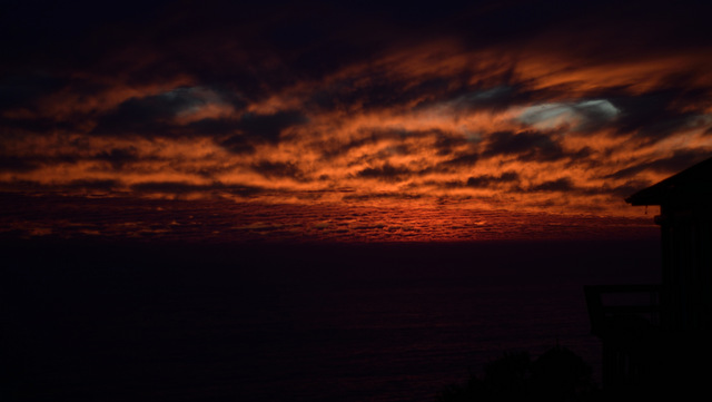 DSC_0005.JPG