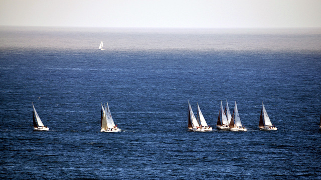 DSC_0018-001.JPG