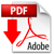 icono pdf